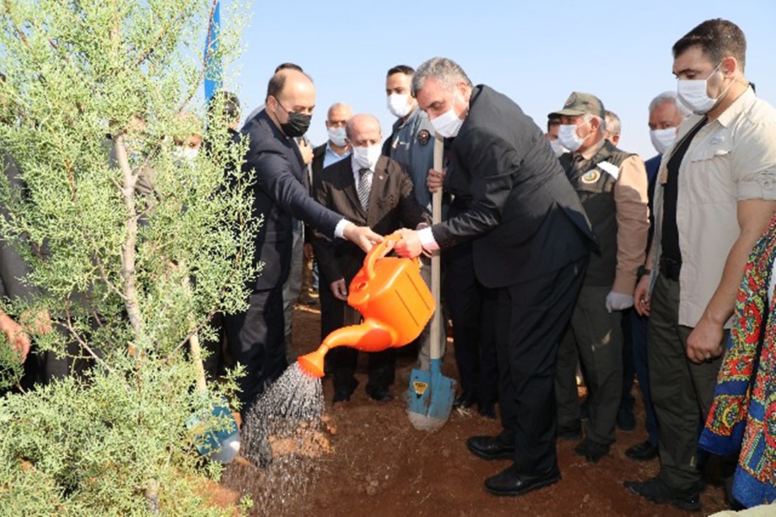 BÜYÜKŞEHİR’DEN DAHA YEŞİL BİR ŞANLIURFA İÇİN FİDAN DİKİMİ