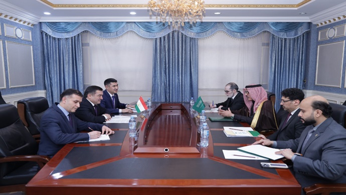 The meeting of the Deputy Minister with the Ambassador of Saudi Arabia